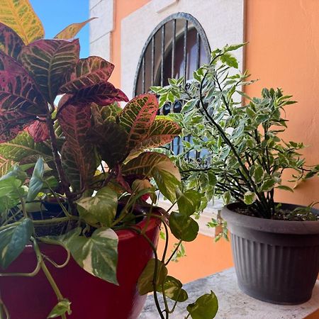 Hotel Casa Mallorca Канкун Екстериор снимка