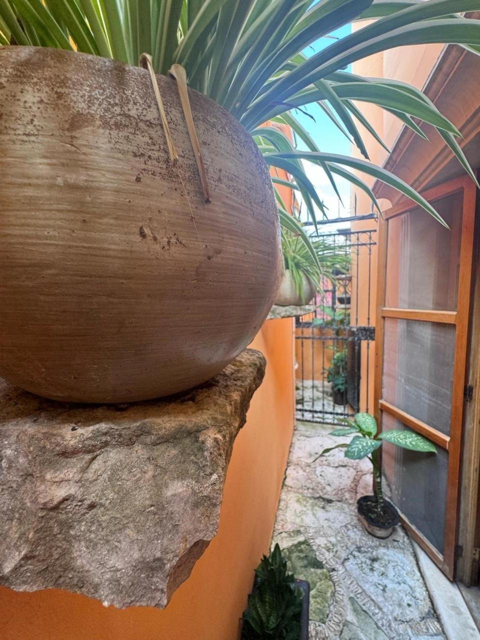Hotel Casa Mallorca Канкун Екстериор снимка
