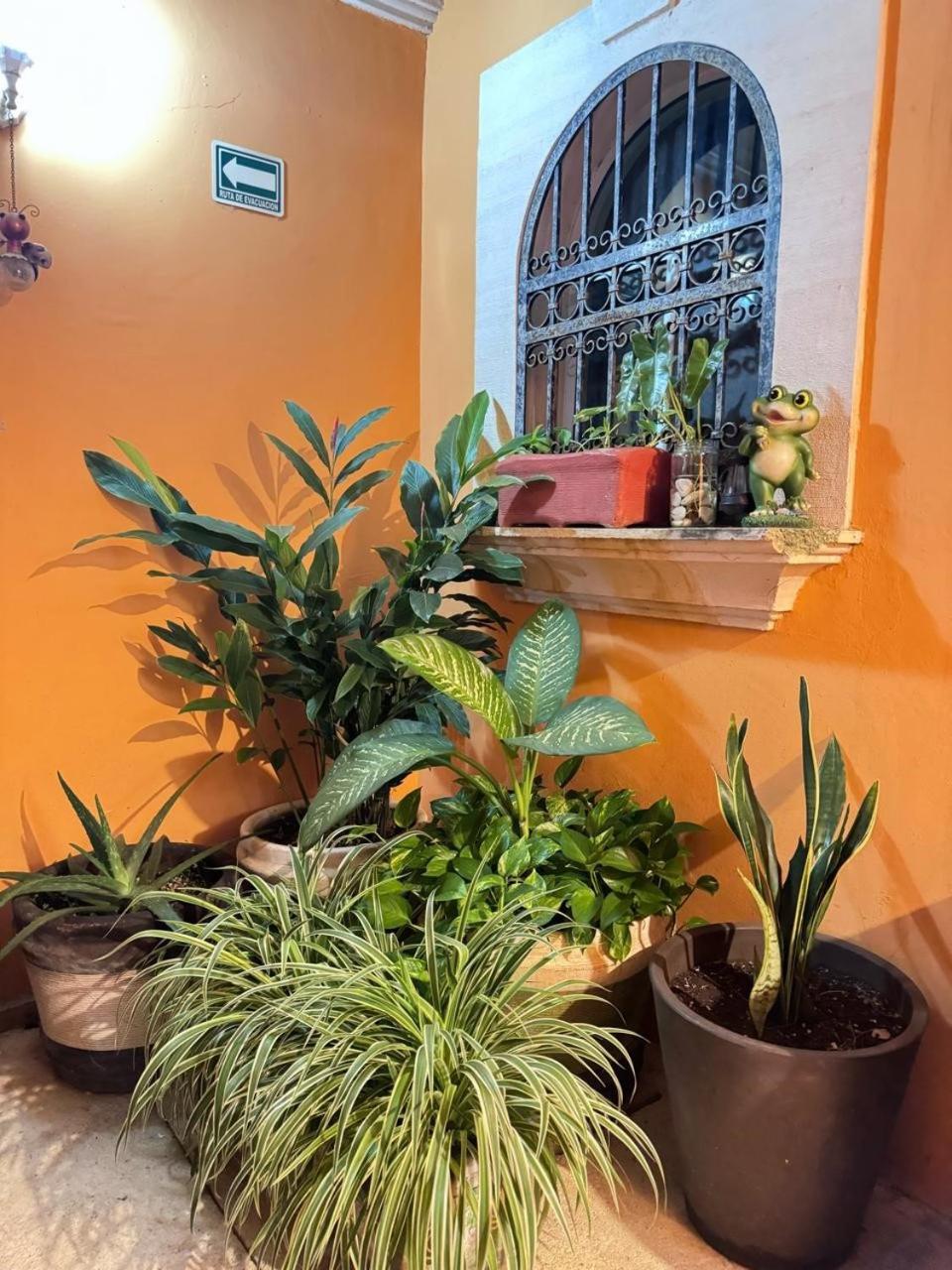 Hotel Casa Mallorca Канкун Екстериор снимка