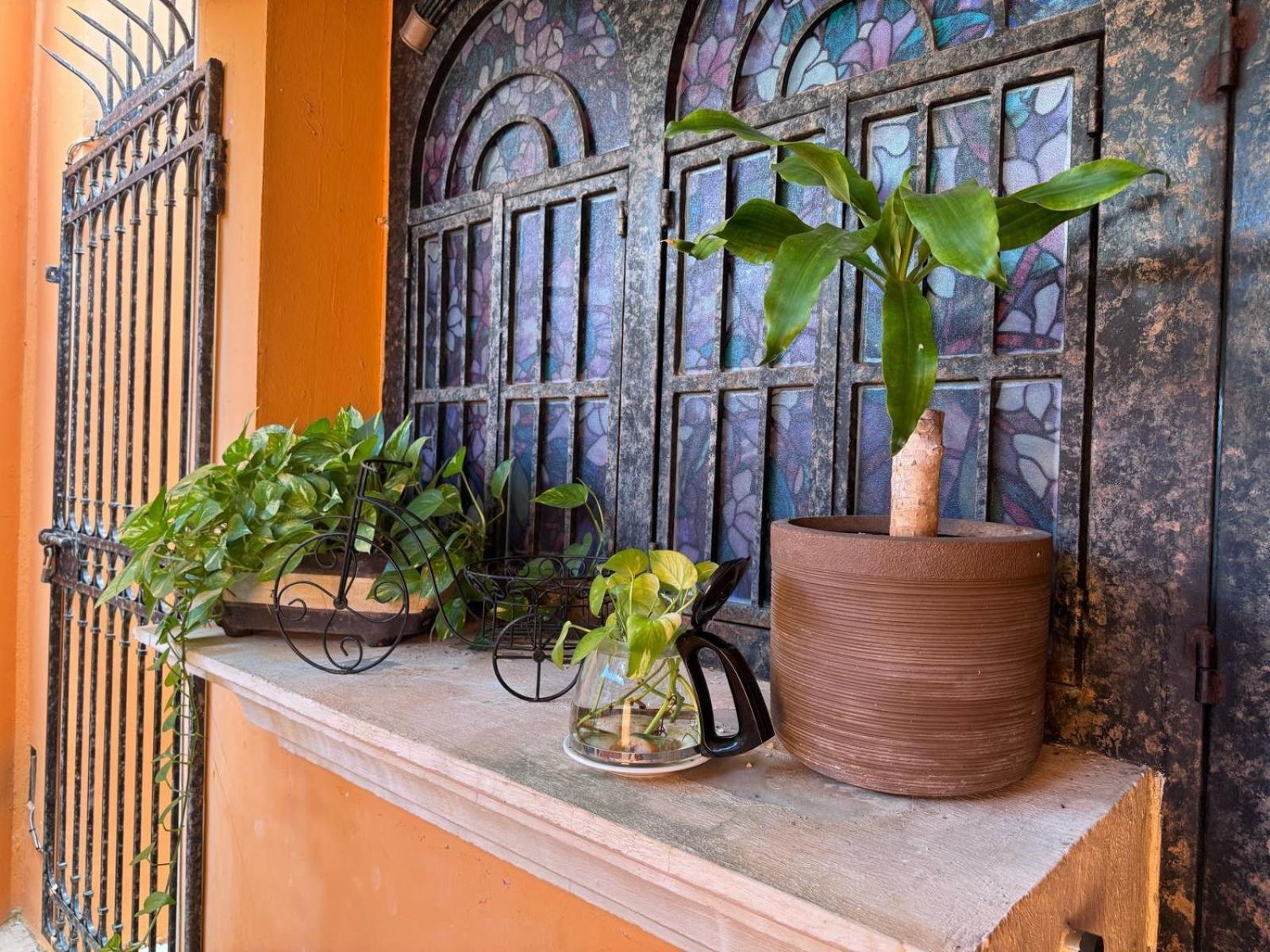 Hotel Casa Mallorca Канкун Екстериор снимка